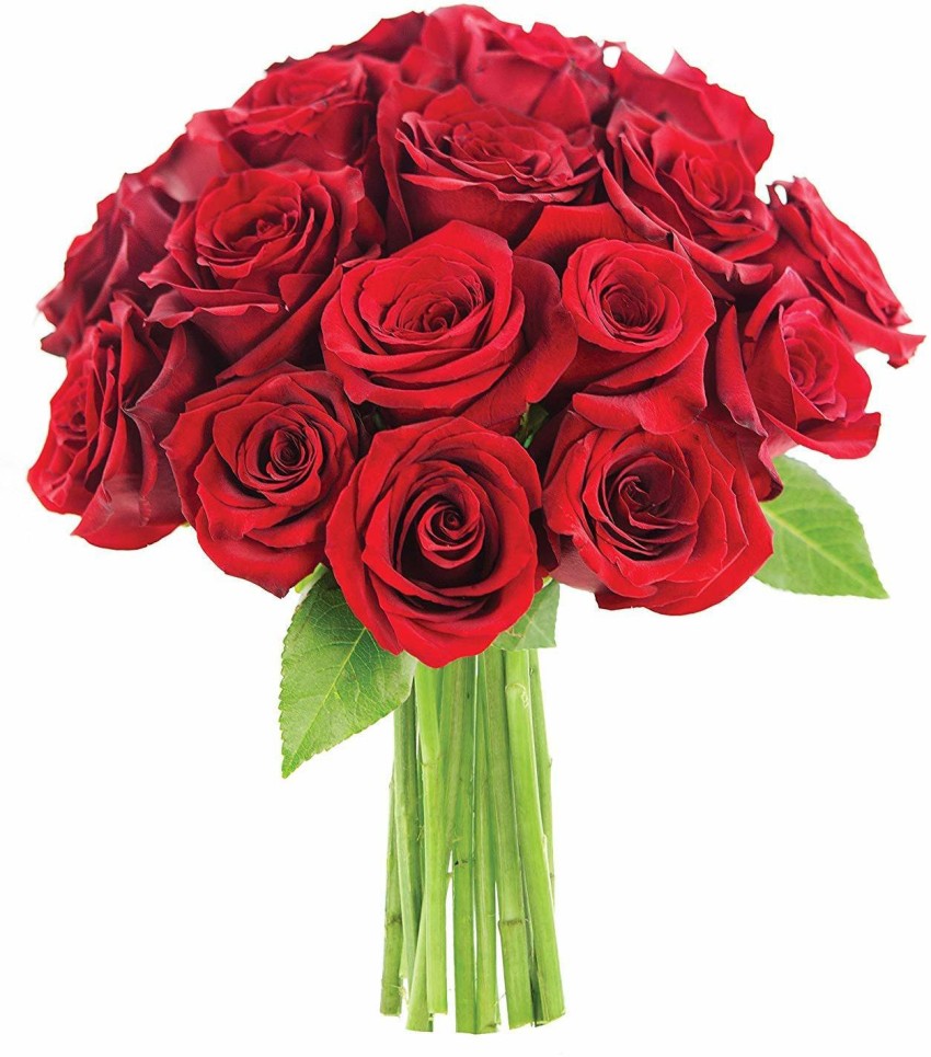SHAFIRE Red, Green Rose Artificial Flower Price in India - Buy ...