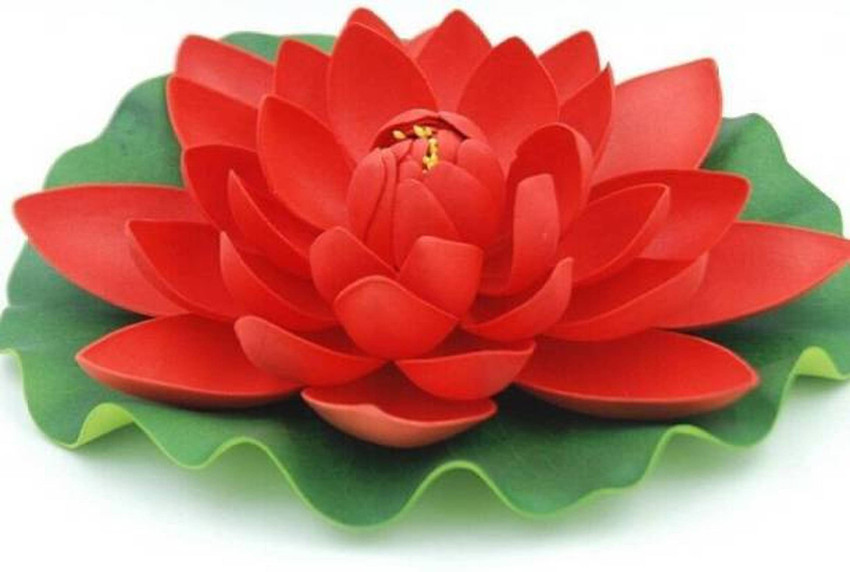Lotus baratos hot sale