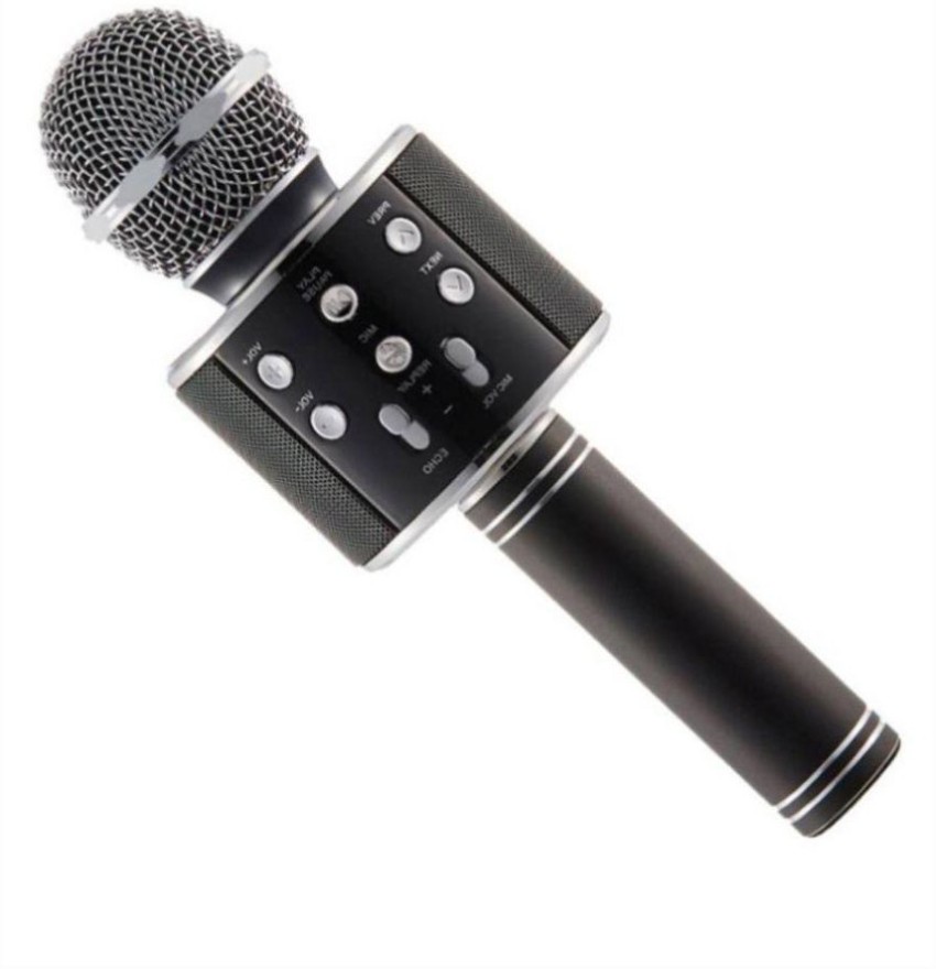 Piqancy microphone 2024