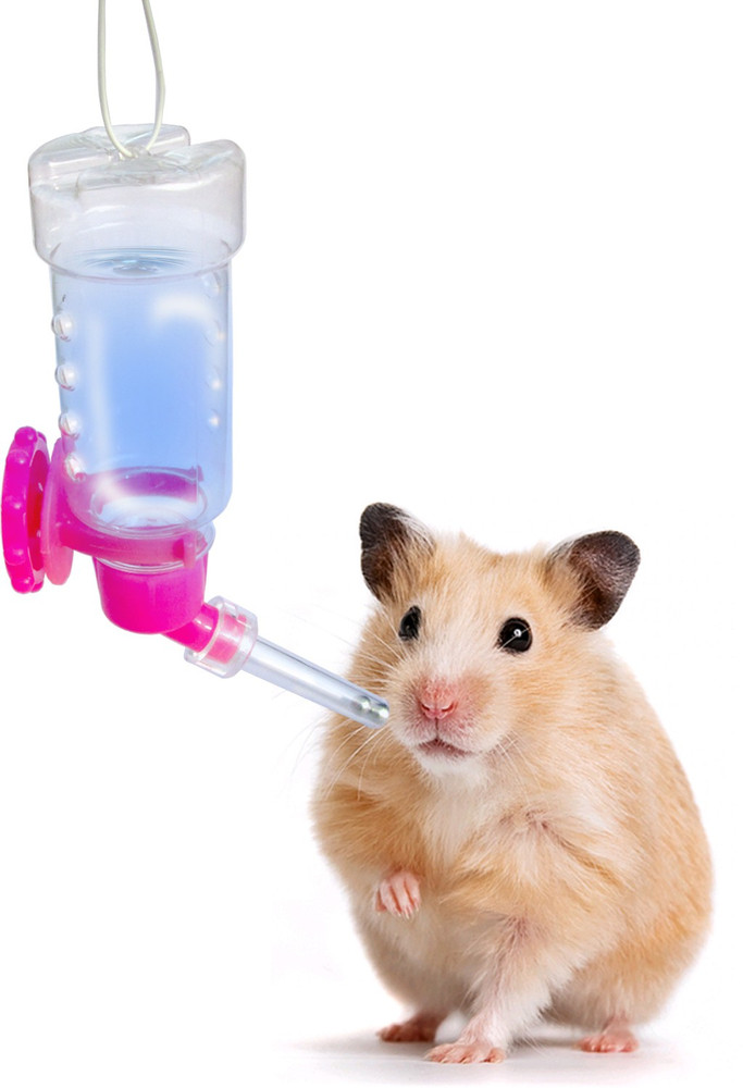 Gerbil water bottle for dogs hot sale