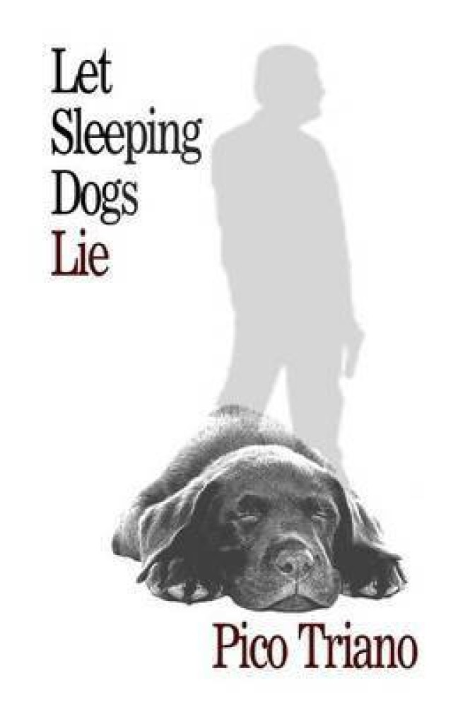 O que significa let sleeping dogs lie? - Pergunta sobre a Inglês (EUA)
