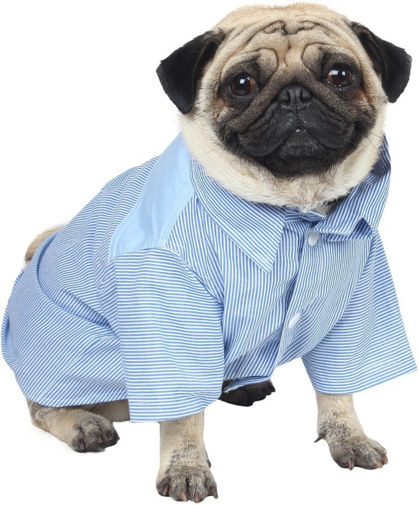 Pug dog best sale clothes online india