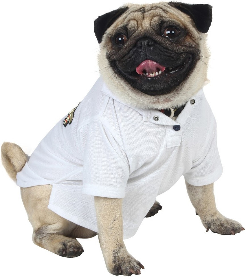 Douge Couture T shirt for Dog Price in India Buy Douge Couture T shirt for Dog online at Flipkart