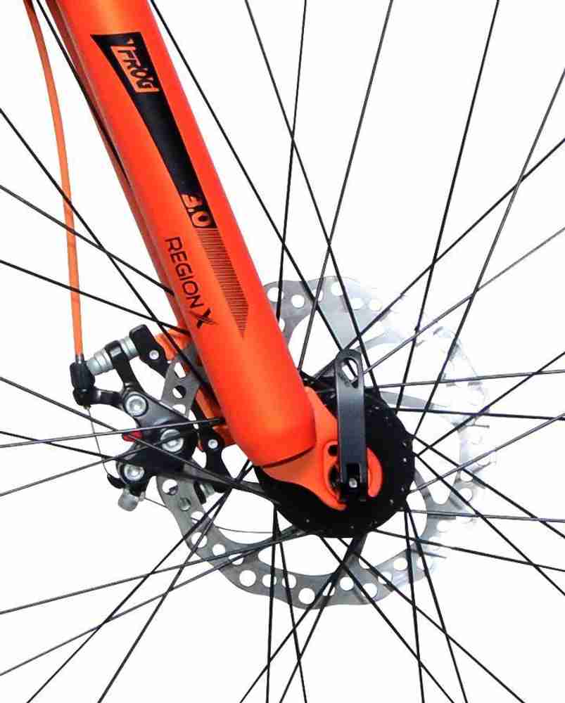 Frog region x 3.0 2024 bicycle