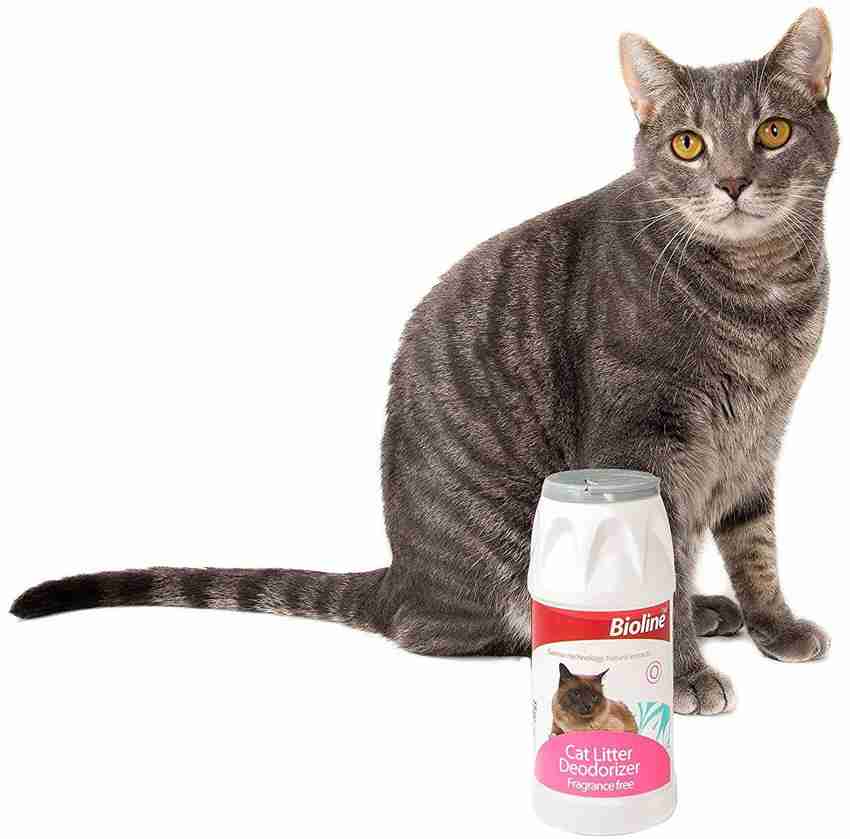 Cat litter freshener shop powder