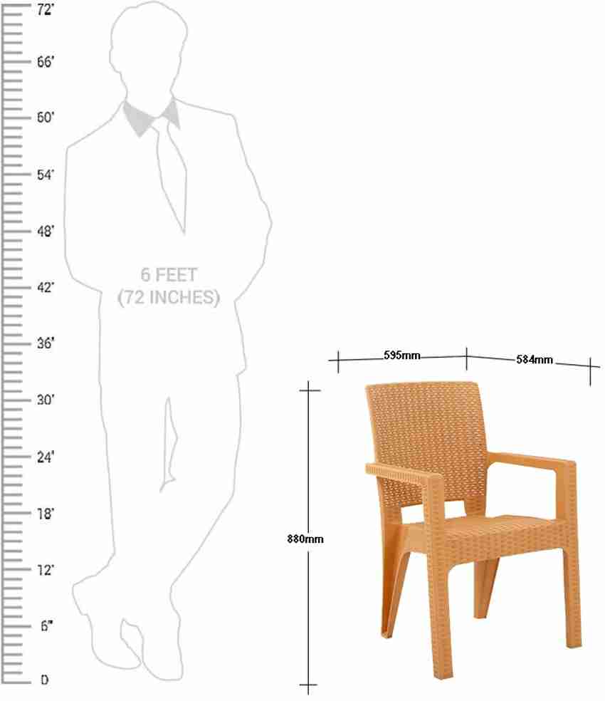 Avro furniture hotsell platinum rattan chair