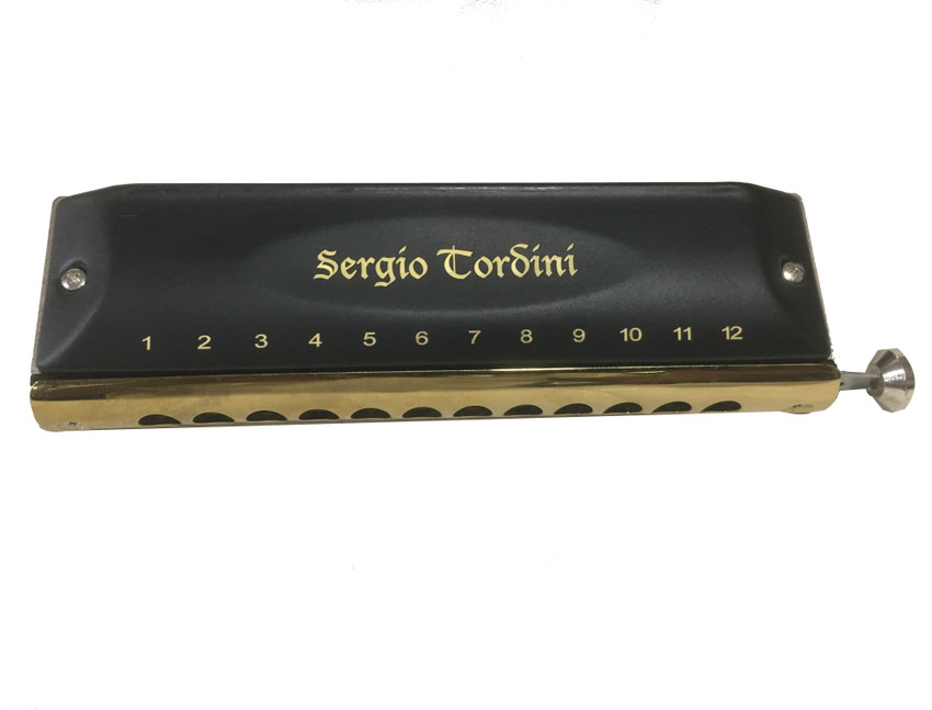 Sergio tordini sale harmonica