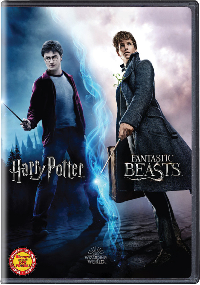 Wizarding World 10 Film Collection – Harry Potter & Fantastic