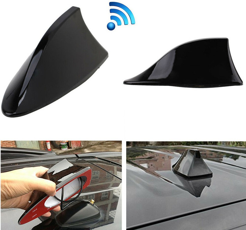 Fm antenna store for car