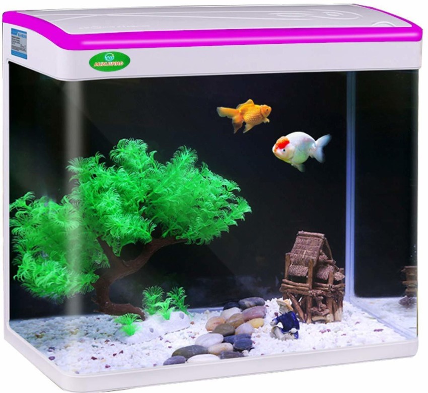 Tank hotsell fish online