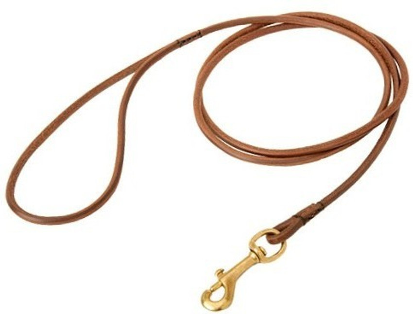 Dog new arrivals show leash