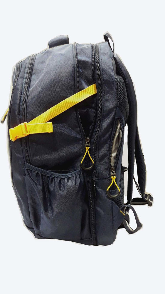 SAFARI AUTOGRAPH BLUE 48 L Laptop Backpack BLUE Price in India