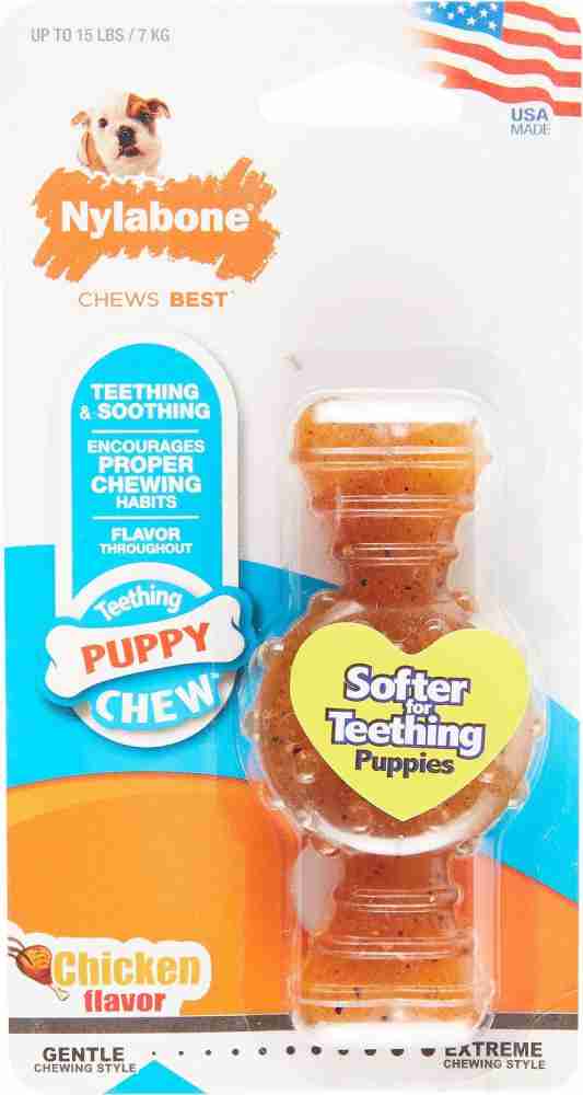 Nylabone puppy hotsell chew chicken flavor