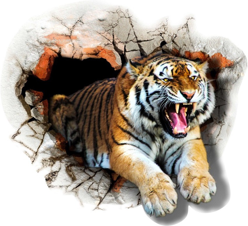 Vibrant Tigers Wallpaper  Statement Wallpaper  Decoralist