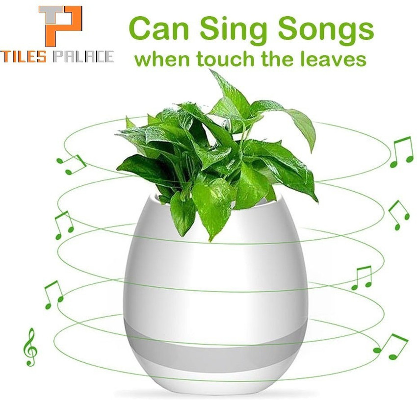 Musical flower pot clearance
