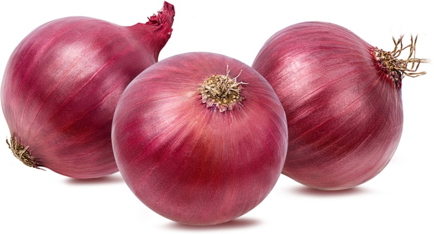 India Onion Price Trends Explained for Investors