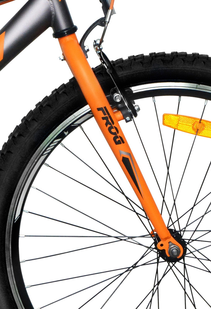 Frog 24 2025 mtb