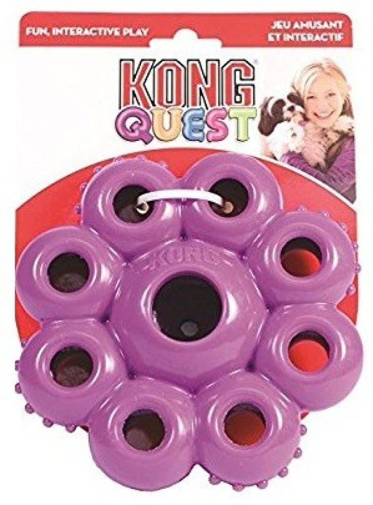 Kong quest 2025 dog toy