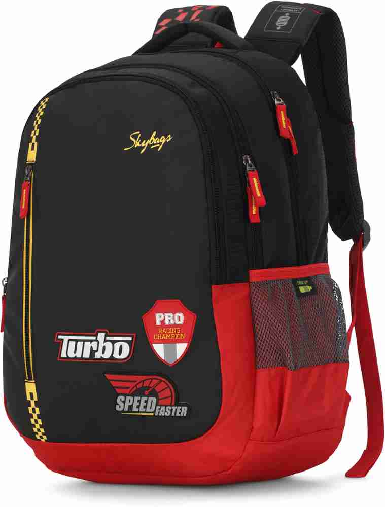 SKYBAGS RONAN EXTRA 06 H 22 L Backpack BLACK Price in India Flipkart