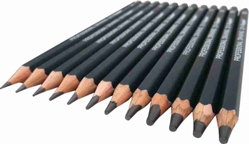 SYGA Professional Sketch and Drawing pencils, Art Pencil Box  Contains 12 Pieces Pencil 