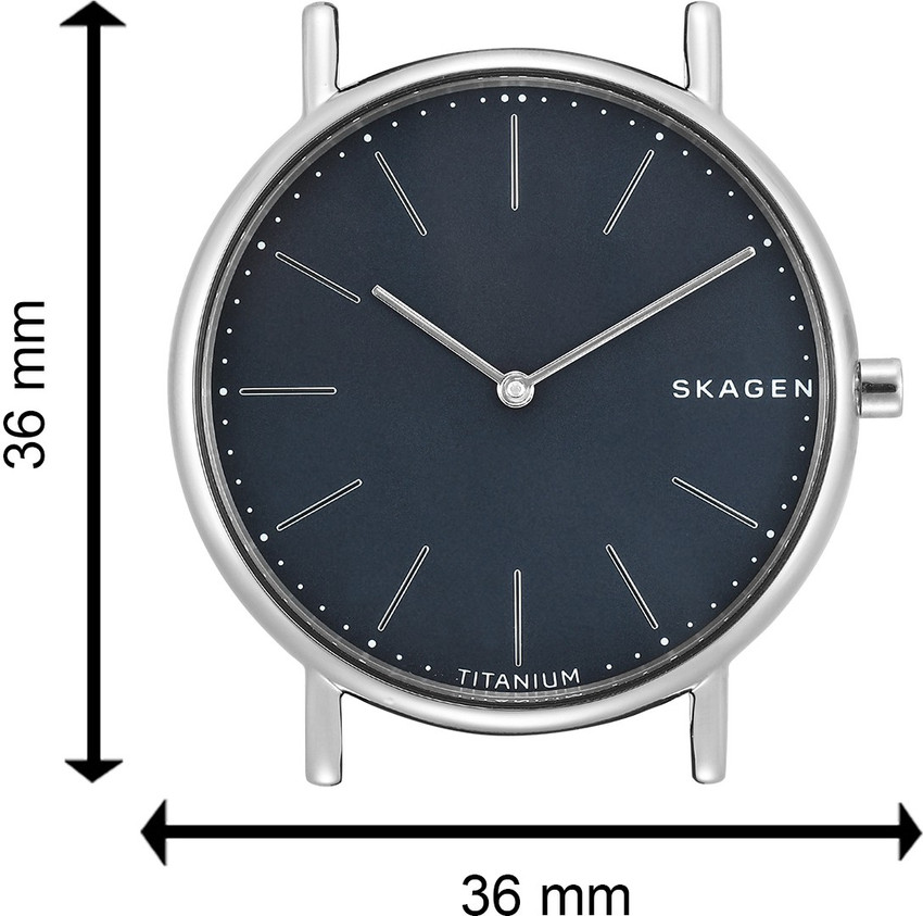 Skagen skw6481 online