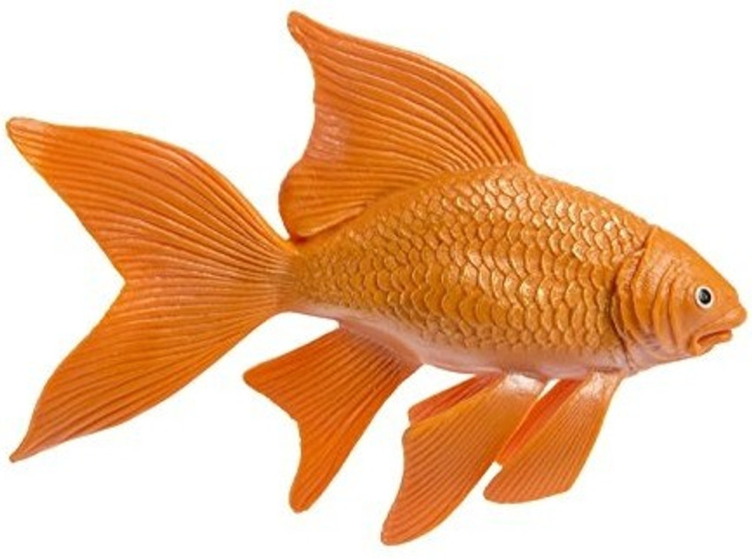 Goldfish toys shop