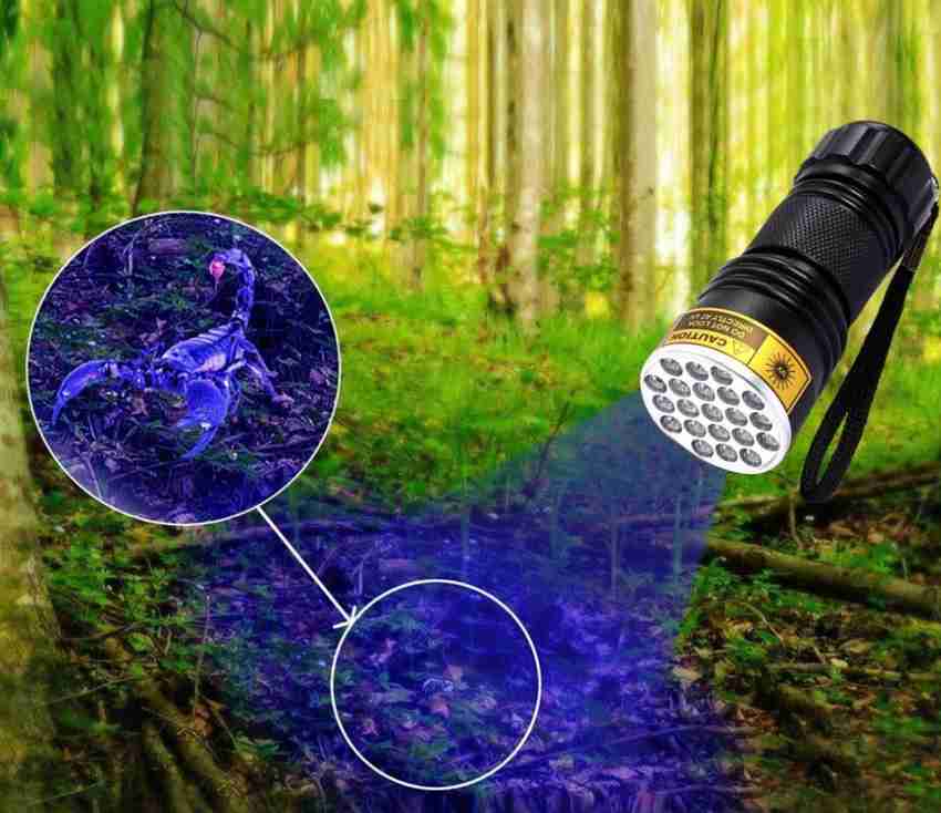 Uv torch hotsell