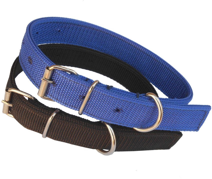 Beast dog outlet collar