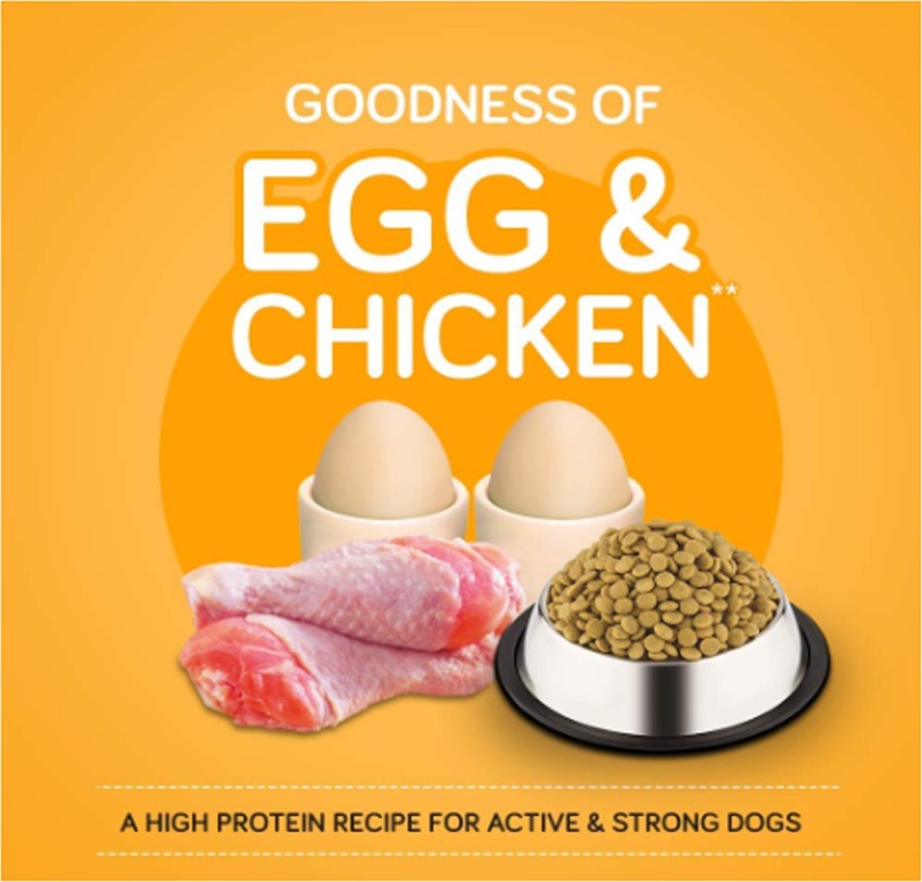 Egg and 2024 rice dog food