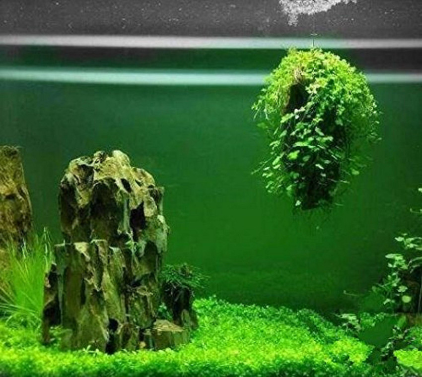 Aquapetzworld Aquarium Floating Rocks Underwater Avatar View Decor