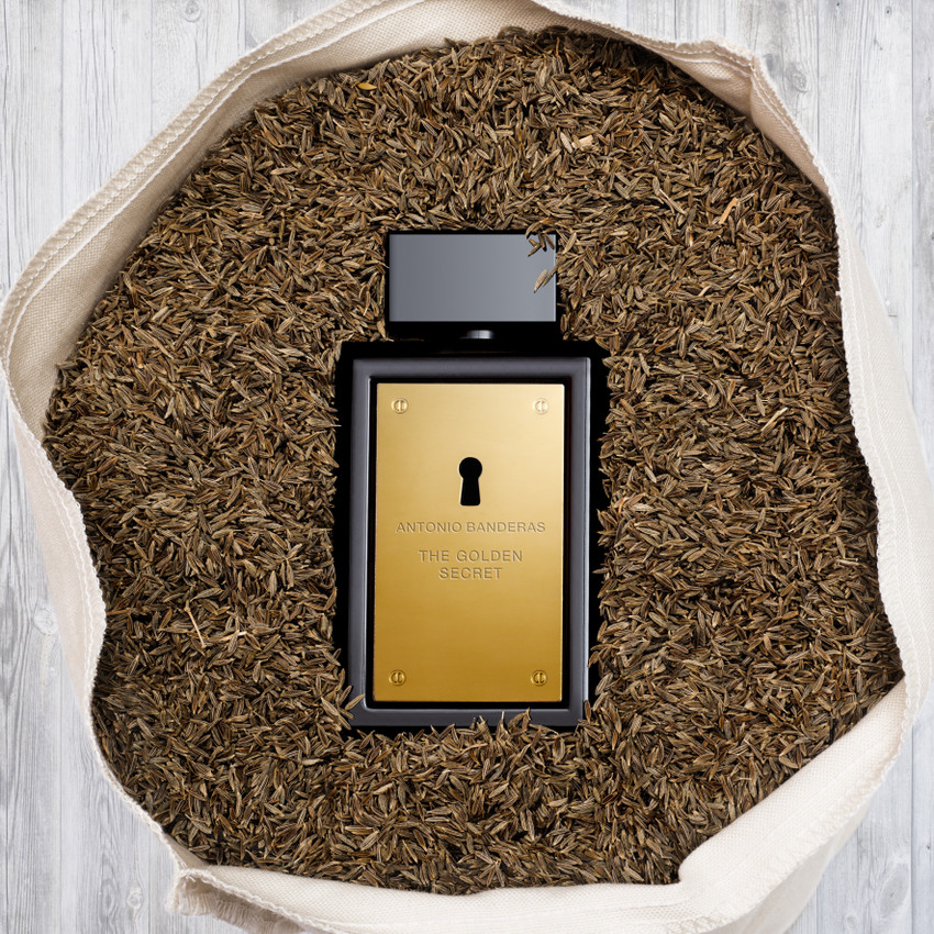 Gold discount antonio banderas