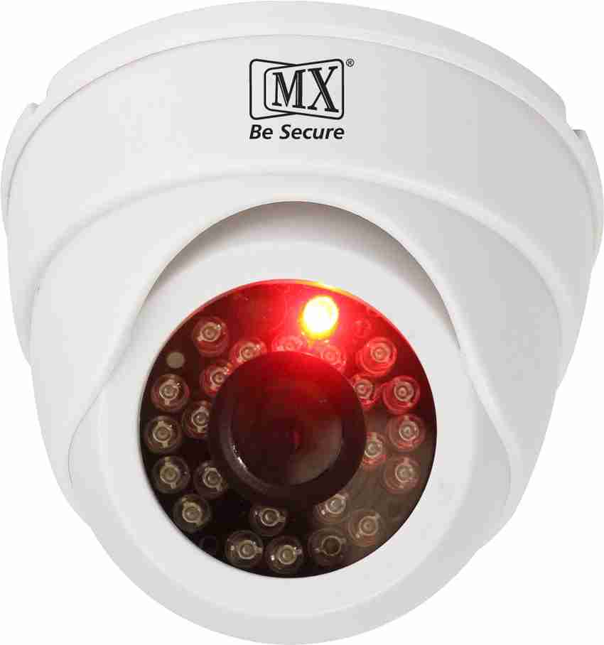 dummy red light camera