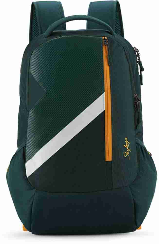 Flipkart college best sale bags skybags