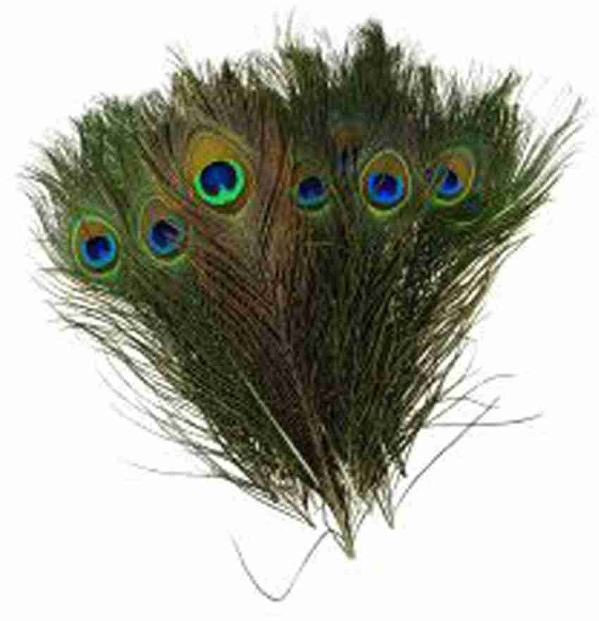 AB WORLD CLASS Pack of 10 Decorative Feathers Price in India Buy