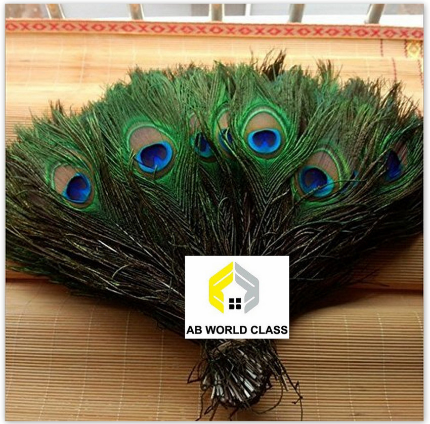 AB WORLD CLASS Pack of 10 Decorative Feathers Price in India Buy