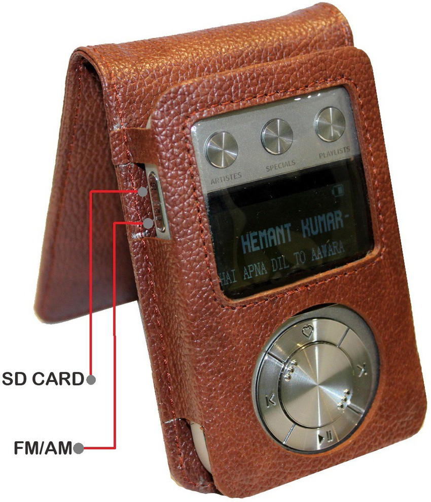 Saregama carvaan go flipkart shop