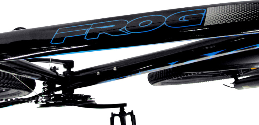 Frog shop vortex cycle