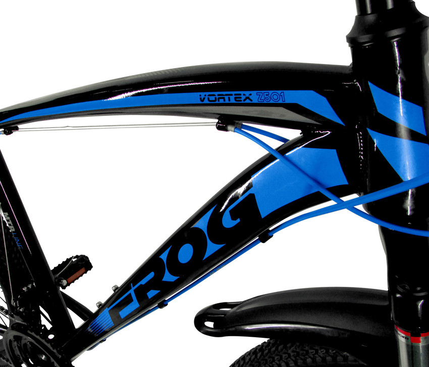 Frog vortex cycle shop