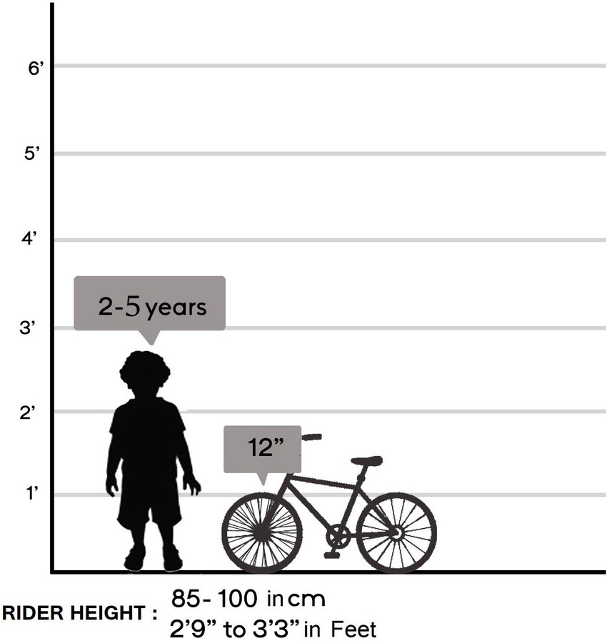Age 2 shop bike