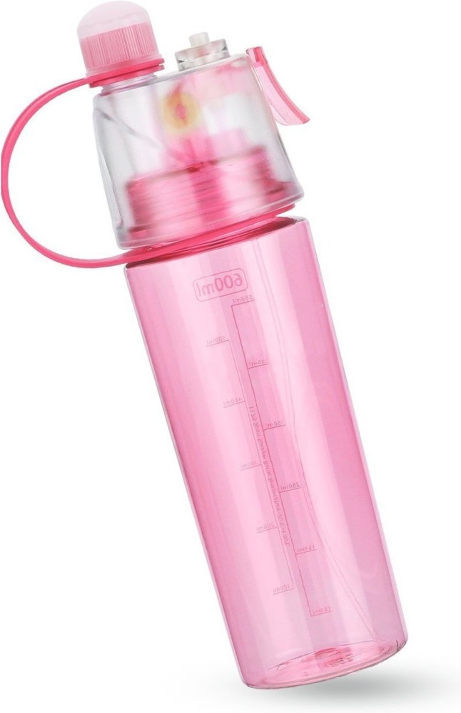 Paris Water Bottle - Pink