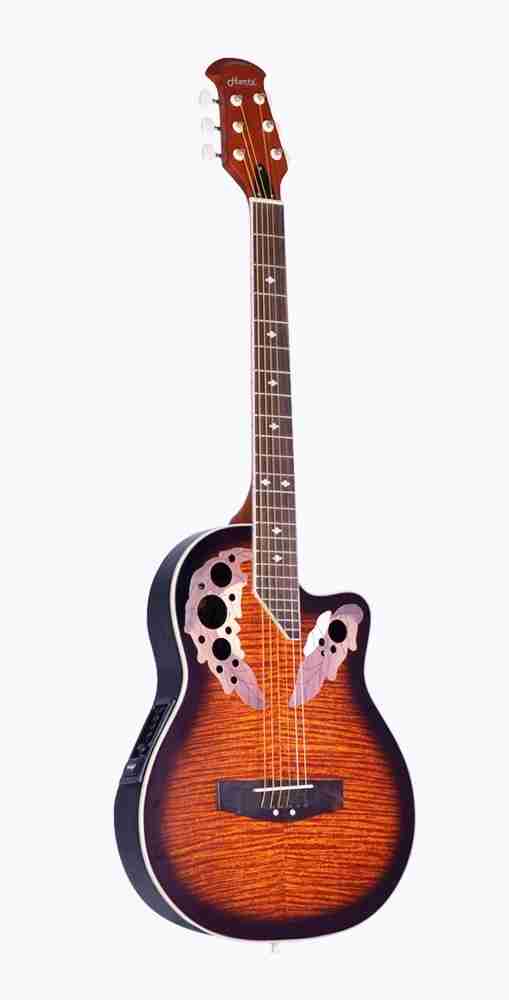 Hertz guitar online price