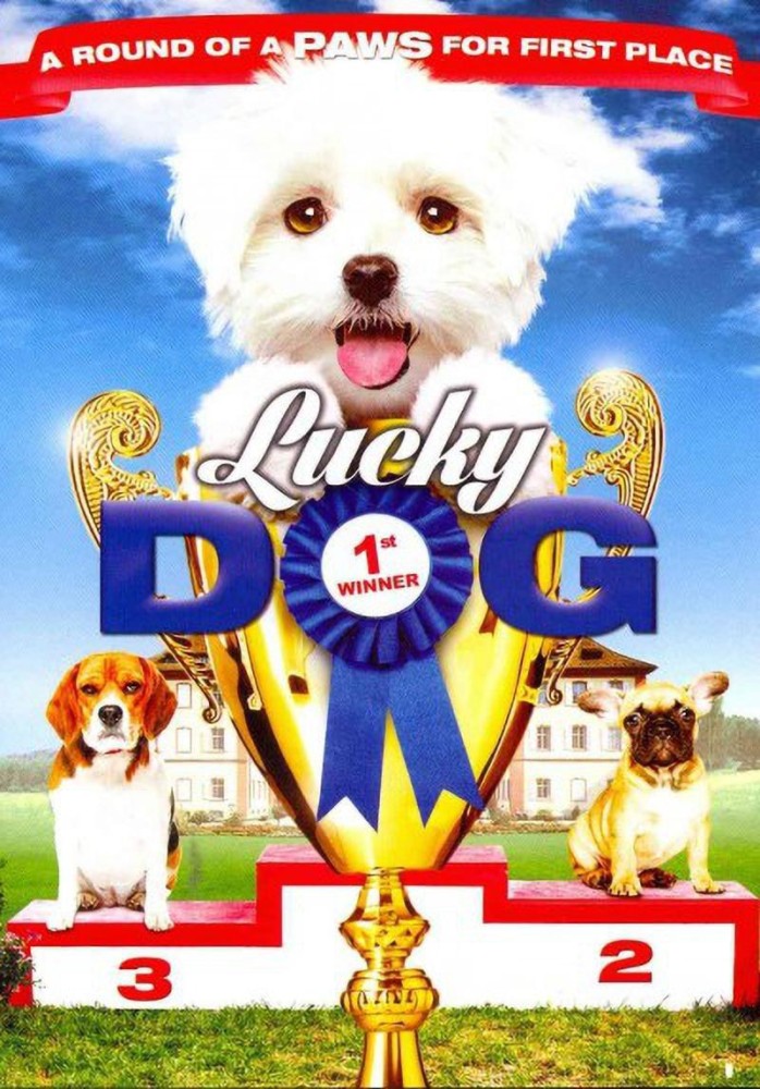 LUCKY DOG Price in India Buy LUCKY DOG online at Flipkart