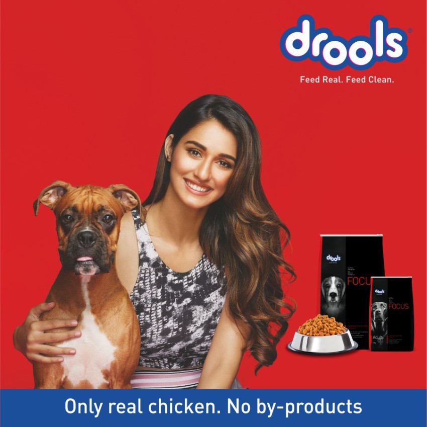 Drools focus puppy hot sale dog food 15kg