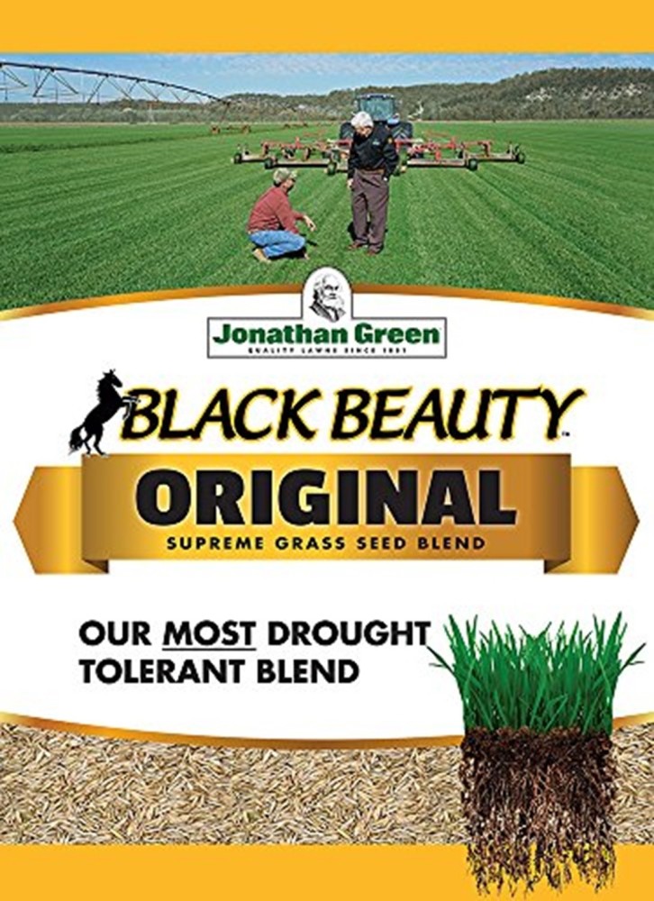 Black beauty online jonathan green