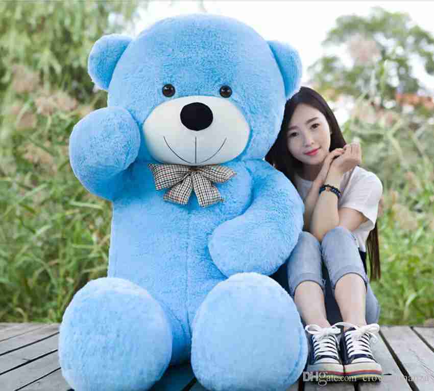 5 feet teddy price store