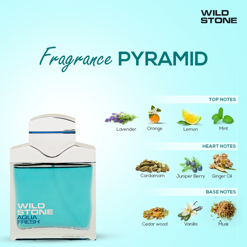 Buy Wild Stone Aqua Fresh Eau de Parfum 100 ml Online In India