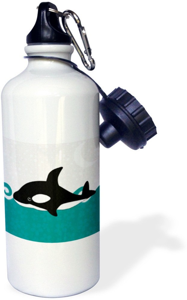 Steel Water Bottle 600ml - Orca