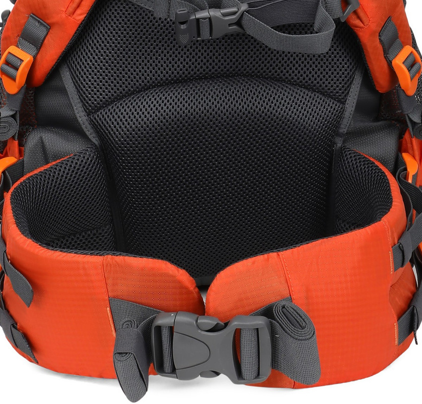 Wildcraft rodhas 65 rucksack online