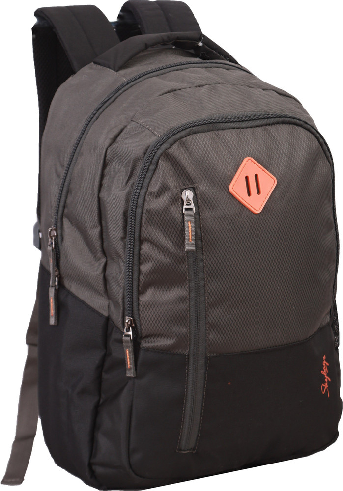 SKYBAGS Arthur 30 L Laptop Backpack Grey - Price in India | Flipkart.com