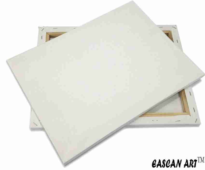 Eascan Art 14 x 20 Cotton Medium Grain Primed Canvas Board (Set of 1) 